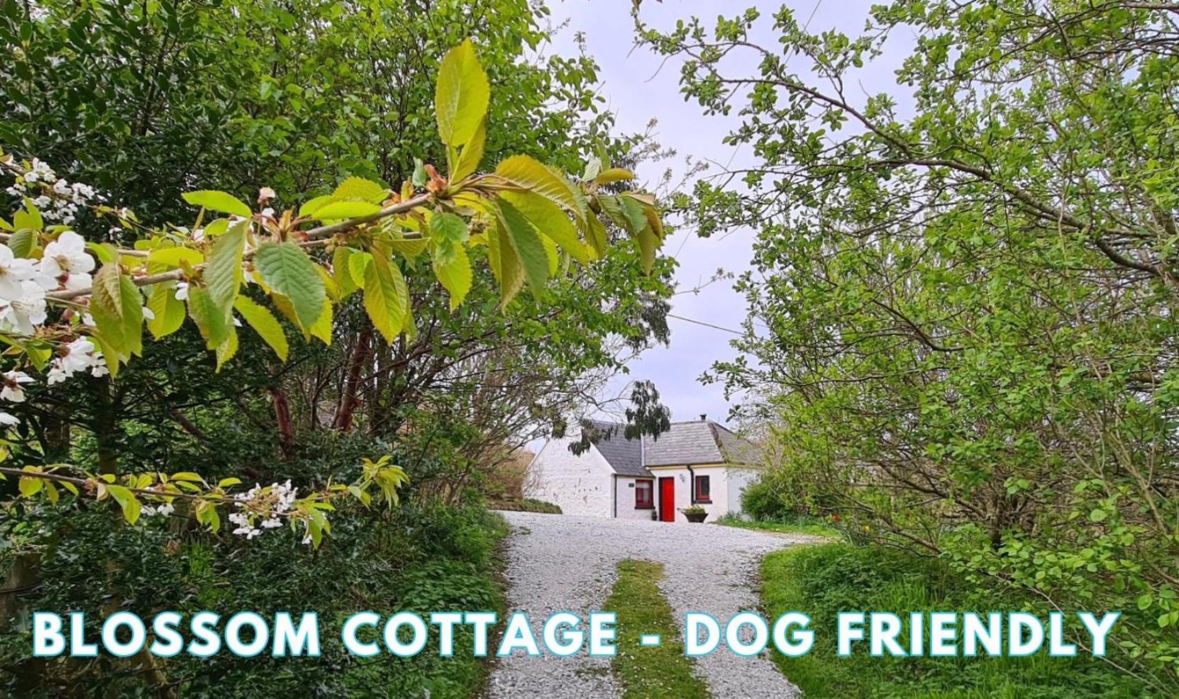 Villa Araucaria Croft Skye Dunvegan  Exterior foto